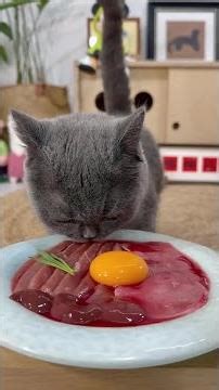 There is soup and meat. #cat #Cute pets debut plan #immersion #pet eating broadcast