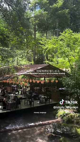 貴船神社の夏: 青紅葉と光の京都