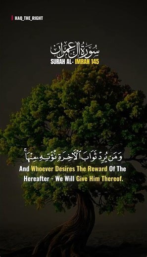 Life & Death Are Only by Allah’s Will 📖 | Surah Aal‑Imran 145 #qurantranslation #Gratitude