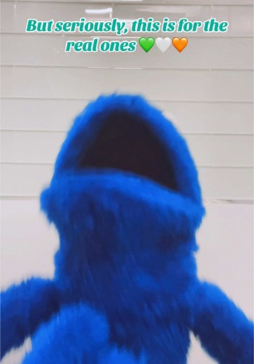 Epic Riverdance Performance Captivates Audiences