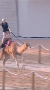 #bestchallenge | 𝕯𝖚𝖇𝖆𝖎 𝕽𝖔𝖞𝖆𝖑 𝕷𝖎𝖋𝖊