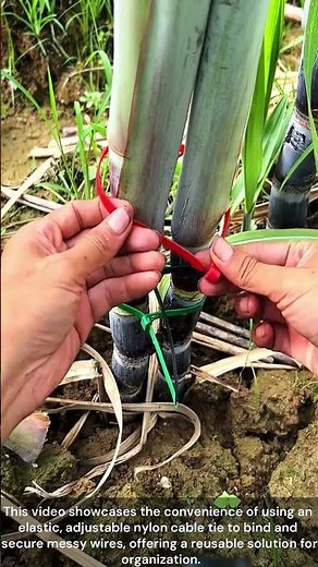 How to use an elastic nylon cable tie to bind and secure wires