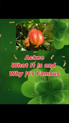 Ackee Fruit : Origin, Taste, and Cultural Importance
