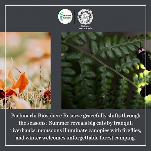 #MeriPachmarhi | Four Seasons: Pachmarhi
