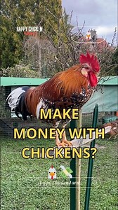 Top 3 Most Profitable Chickens in 2026 🐔💰