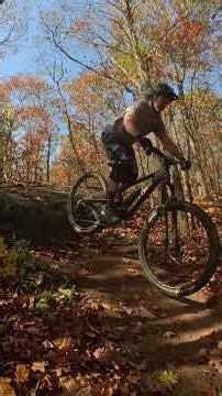 Just Some of the North Bay Fun