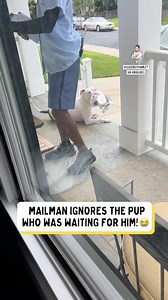 19M views · 266K reactions | The dog looked so sad 凉 | Dad Jokes | Facebook