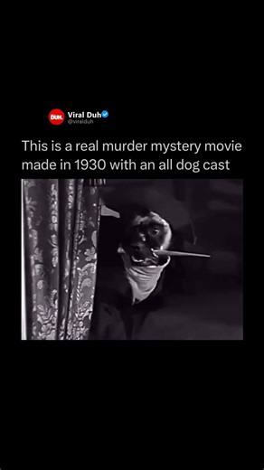 This is a real murder mystery movie made in 1930 with an all dog cast