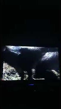 Walking With Dinosaurs Death Of A Dynasty Tyrannosaurus Eats Didelphodon