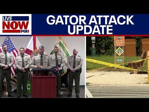 Florida wildlife officials provide update on deadly alligator attack