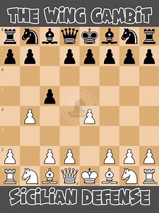 42K views · 460 reactions | The Wing Gambit ♟️ #chessmaster | Chess Master | Facebook