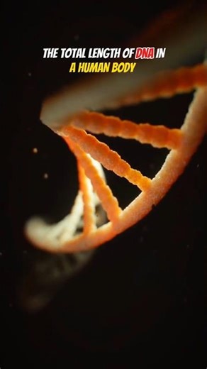 Can Human DNA Reach Pluto? 🤔 #space #earth #astronomy