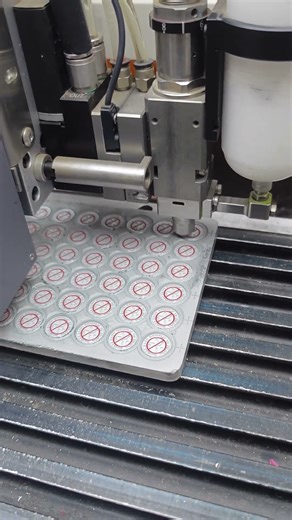 Automatic Soft PVC Patch Production with Vision Dispensing Machine | Round Rubber Label for Apparel