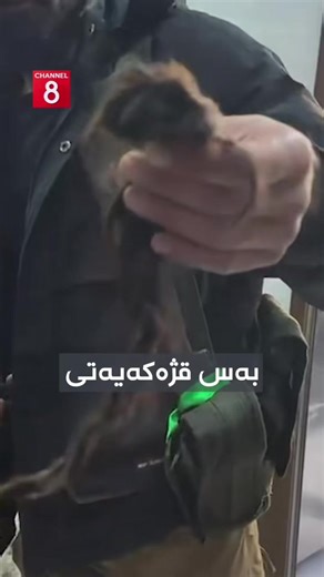 How to Create Fishtail Braids in Kurdish Style