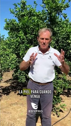 Previsión de cosecha excepcional en Tango