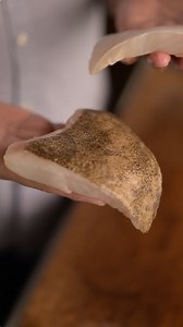 When you order your turbot fillets, they’re going to look a little bit different because they’re cut from different parts of the fish. The white skin is the underside of the fish, but still nice & chunky. The darker skin is from the top of the fish, cut from just near the head. The fillets will always be slightly different shapes but always luxurious & delicious. Fillets make it wonderfully straightforward at home. A hot pan, careful seasoning, & just enough time to let the flesh turn pearly & f