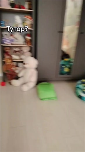 красный (@dropbox569)’s videos with original sound - красный