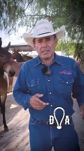 En México, tenemos una tradición muy arraigada hacia las mulas. Ya no solo se busca que sean burros y mulas grandes, sino que además ganen competencias de funcionalidad y conformación. En este video, les comparto algunas consideraciones a seguir para reproducir mulas, además de mostrarles algunas de las que tenemos en el rancho Brio Natural : cuáles son sus características y algo de la experiencia que tenemos arrendando burros y mulas. ¿Tienes alguna duda con respecto a las mulas? ¡Compártelo en