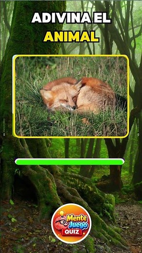 Adivina los Animales con 2 Fotos 🐯🐼 | Quiz de Animales Fácil y Reto Visual #shorts