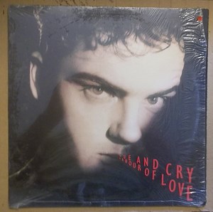 Hue And Cry - Labour Of Love