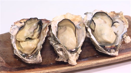 【プリ丸】海湖館の牡蠣小屋でお客さんを虜にするぷりっぷりの浜名湖のブランド牡蠣が人気！／湖西市｜静岡新聞アットエス