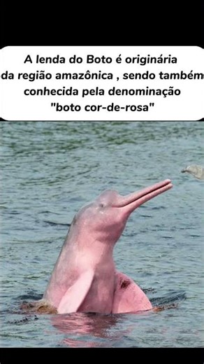 LENDAS DO FOLCLORE BRASILEIRO #animais #folclorebrasileiro #curiosidades #lendas