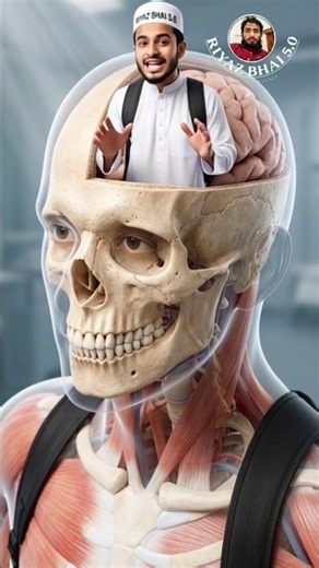 #Human Body fact || #facts