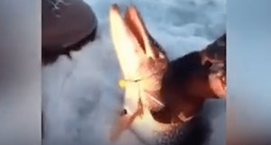 10 of the Craziest Ice Fishing Videos on the Internet