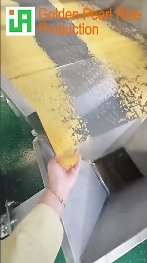 Industrial Golden Couscous Production Line - Full Process Demo (Flour to Grain)