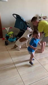 241K views · 5.1K reactions | ❤️❤️ADOTTATA❤️❤️. ...