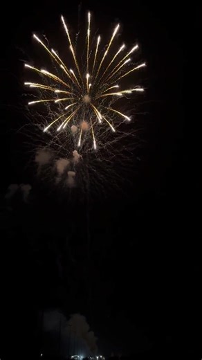 4.3K views · 110 reactions | 5 inch 12 SHOTS DISPLAY SHELLS FIREWORKS 2025 #fireworks #pyro #fireworkshow #fireworksdisplay #huge | Firework Cloud | Facebook