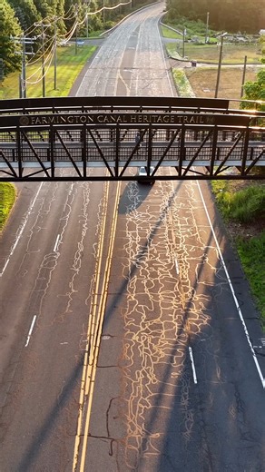 1.8K views · 31 reactions | This season, we’re grateful for all the...