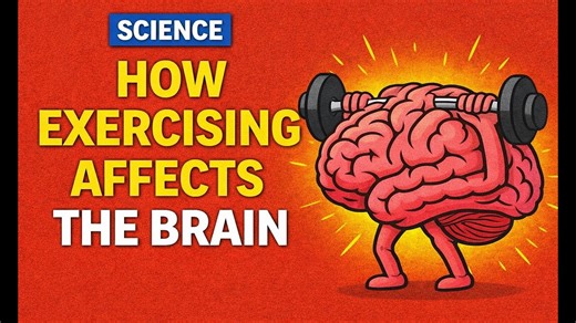 How exercise rewires your brain (Science explained)
