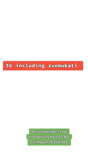 #harare #zimbabwe #zimbabwe🇿🇼 #zimweddings #zimcelebs #hararezimbabwe #zimagriculture | GEF AgriFarming