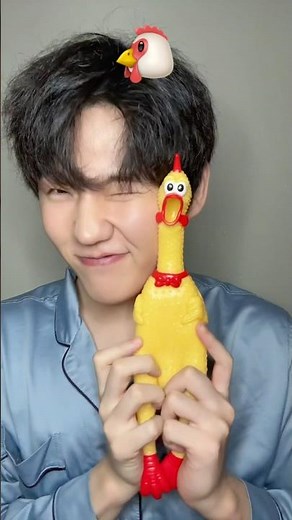 Chicken toy lovely review