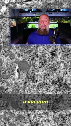 See Inside Cells: Transmission Electron Microscope Secrets REVEALED!
