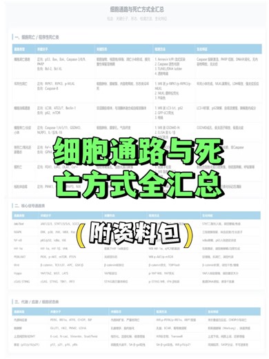 细胞通路与死亡方式全汇总（附资料包）