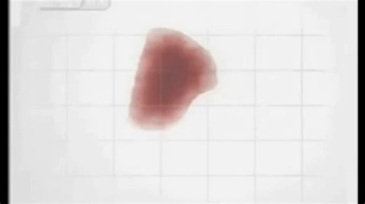 央视新闻频道2005ID2