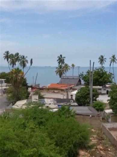 Videos de El pillo (@luisilloelpillo419) con “sonido original - El pillo”