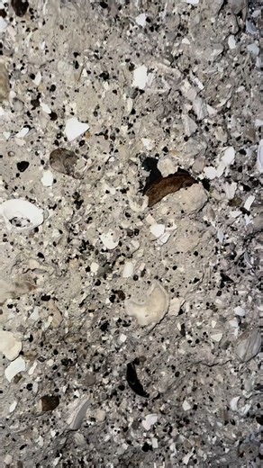 7.4K views · 474 reactions | Megalodon shark tooth fossil I found and hand wrapped into a custom necklace pendant. Want one of your own? Check out our website or comment the word “necklace” for more information #ancient #pendant #handmadejewelry | SHRKco | Facebook