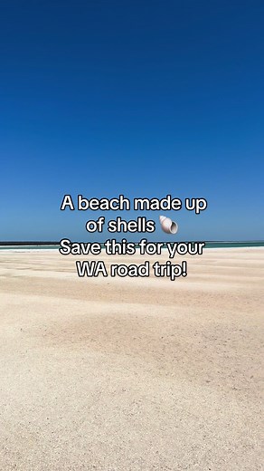 Shell Beach Australia: A Seashell Paradise in Western Australia