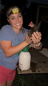 142K views · 4.6K reactions | What Chicken Lice Look Like and How I Treat Them! | Gulf Coast Cluckers | Facebook