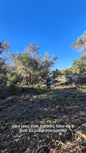 Koja budala nas plaća? #echo #perlenbacher #löwenbrau Svi videi su isključivo u zabavne svrhe, nešto je istina nešto nije. Mi kupujemo opremu ovdje: https://mojecho.com.hr/ | Dodo krčenje terena