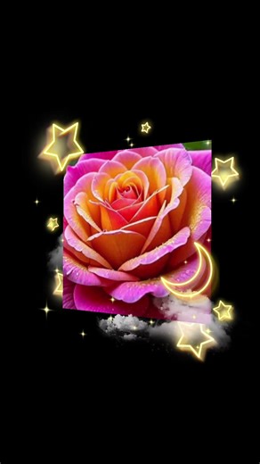 Rosa Rodriguez (@rosarodriguez734)’s videos with sonido original - melyfelix38