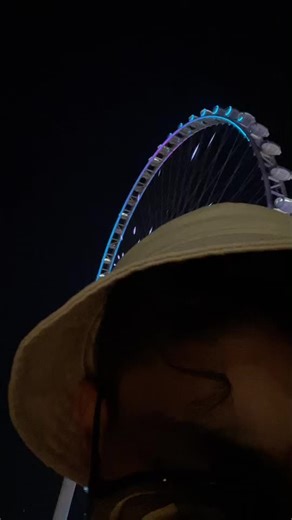 Spectacular Night Views at the Ferris Wheel