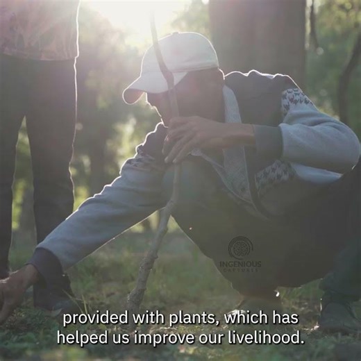 Harvesting a Better Future with Support of BRAVE