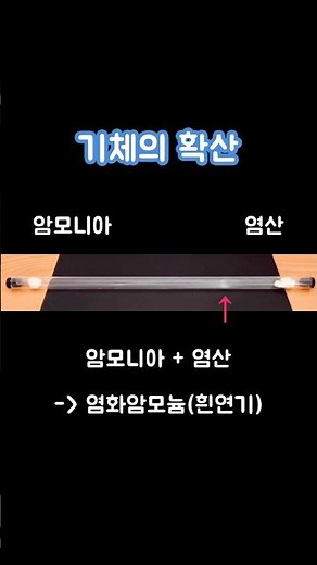 암모니아와 염산의 중화반응. #염화암모늄 #확산 #Diffusion #Ammonia #HydrochloricAcid #AmmoniumChloride #Neutralization