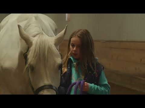 Avery's Surprise / / A Girl and Her Horse