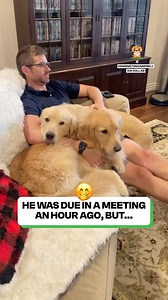 I'm sure the manager understands... 😫 | Fluffy Animals