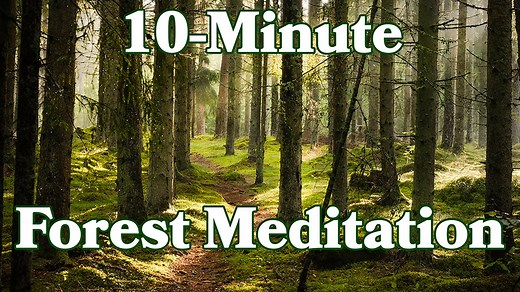 Take a *deep* breath and relax with this peaceful forest meditation. | Goodful